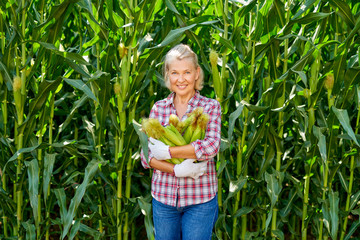 Woman farmer with a crop of corn