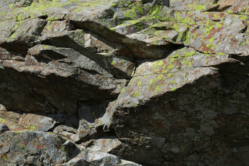 Roccia con muschi e licheni, dettagli in primo piano, sfondo naturale