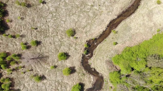 Arial view on small river in the middle of the forest. Drought.4K, UHD, Cinematic						