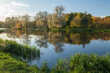Autumn park landscape with bright trees
