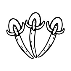 Cloves hand drawn icon