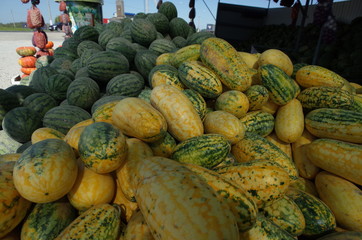 squash and pumpkins