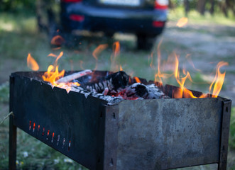 barbecue in the woods, fire