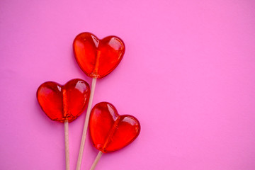 pink tulip on a red background