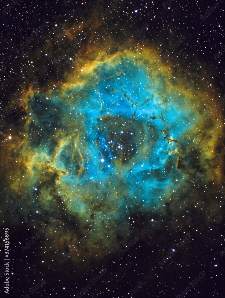 Wall mural rosette nebula