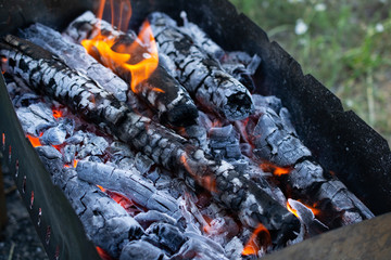 fire, barbecue and coals