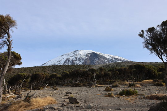 Mount Kilimanjaro, Moshi Tanzania