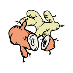 Ginger icon vector hand drawn