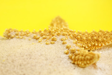 close up of a golden star