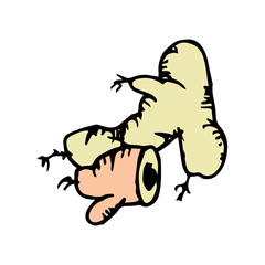 Ginger icon vector hand drawn