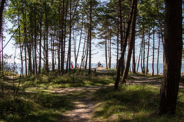 Karkle. Olado Kepure. Baltic sea coast. Forest by the sea. High Cliff. People are resting on the shore. A narrow beach at the foot of the cliff. People walk and sunbathe on the coast. Pine forest 