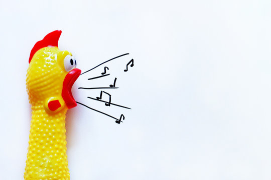 A bright yellow chicken plays a tune.Creative music background.day of music.Minimalistic, stylish, trendy concept.copy space.