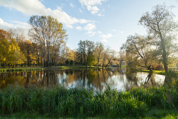 Autumn park landscape with bright trees