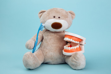 Stuffed Bear animal with toothbrush as a symbol of children dentistry concept isolated on blue.