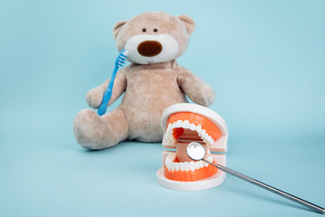 Stuffed Bear animal with toothbrush as a symbol of children dentistry concept isolated on blue.
