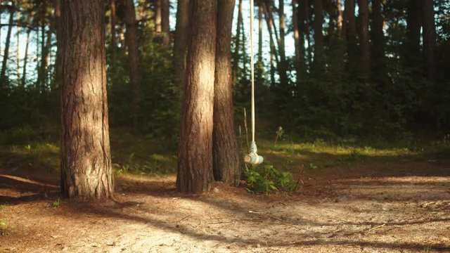 Rope Swing Hanging From A Tree In Backyard Forest.
