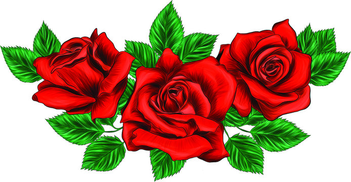 bouquet of roses red and leaves to create composition pattern flowers vector illustration