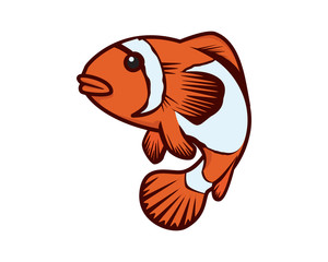 Fototapeta premium Cute Swimming Clown Fish Illustration