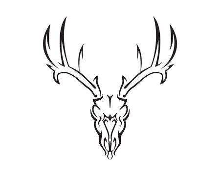 Deer Skull Illustration with Silhouette Style