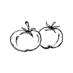Tomato icon hand drawn