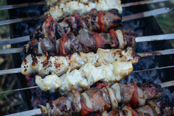 skewers on skewers, fried meat, outdoor recreation