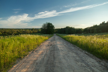 Dirty road in summer green field