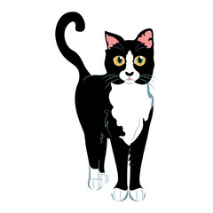 Isolated american curl cat breed animals icon- Vector