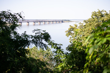 bridge over the river in the forest