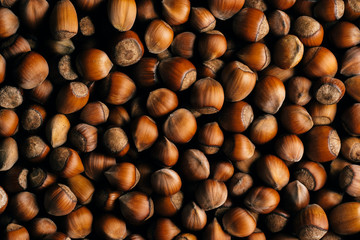 Top view of hazelnuts. Hazelnuts background