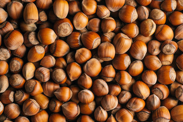 Top view of hazelnuts. Hazelnuts background