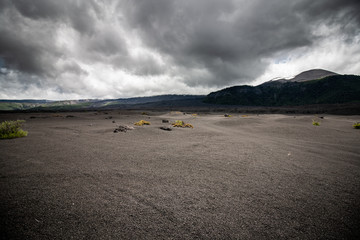 conguillio national park chile
