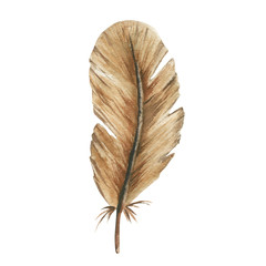 Fototapeta na wymiar Watercolor feather.Hand Drawn watercolor illustration.