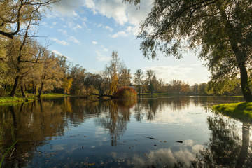 Autumn park landscape with bright trees