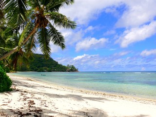 Seychelles, Indian Ocean, Praslin Island, east coast, Anse La Blague beach