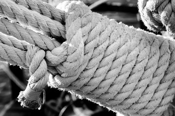 tall ship sailing rope  in black and white