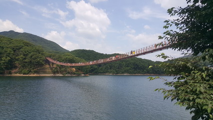 Fototapeta premium bridge over the river