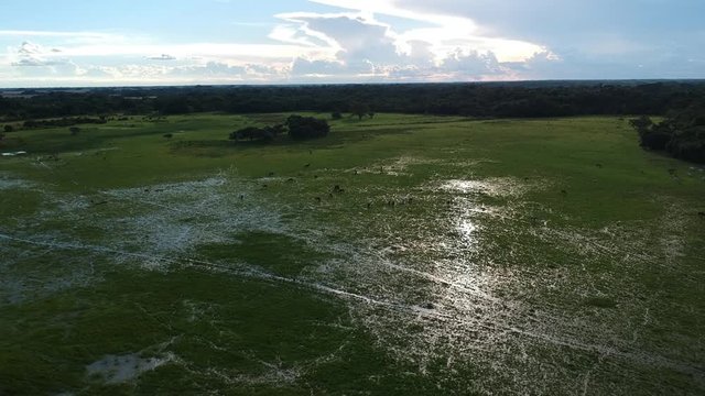 paisaje llanero laguna 