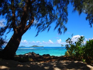 Fototapeta na wymiar Seychelles, Indian Ocean, Praslin Island, west coast, Grand Anse beach, view of the Cousin Cousine Islands