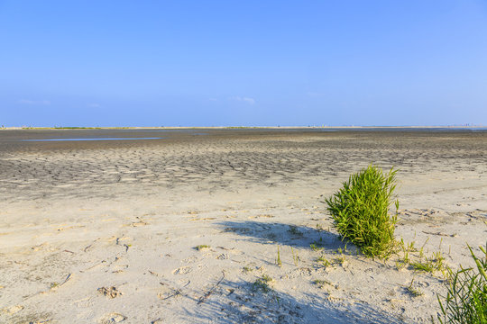 Construction Marker Wadden in the Dutch Markermeer for recreation and nature through the use of dredging sludge covered with sand