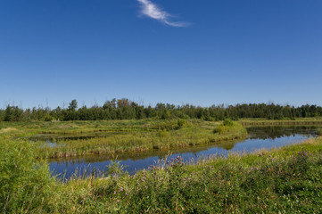 Pylypow on a Summer Day