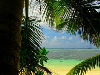 Seychelles, Indian Ocean, Praslin Island, east coast, Anse La Farine beach