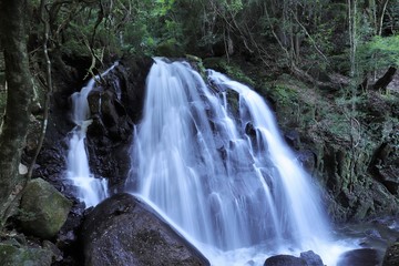 Fototapeta premium 滋賀県 鶏鳴の滝