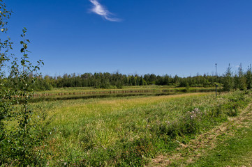 Fototapeta premium Pylypow on a Summer Day