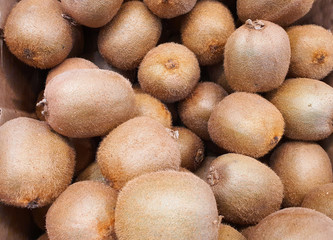 group of kiwifruit ready for sale