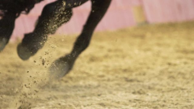 Ultra slow motion: Horse's hooves kick up dirt as it sprints in training yard