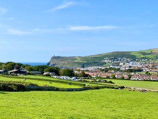 Fototapeta na wymiar Cattle grazing in emerald green meadows looking towards the beautiful coastal town of Port Erin, Isle of Man