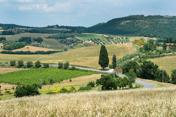 Alpine swiss mountains grand landscape