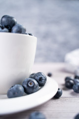 Bunch of fresh blueberries placed on ceramic plate and in white bowl on table
