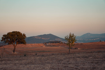 Naklejka premium Sunset in field
