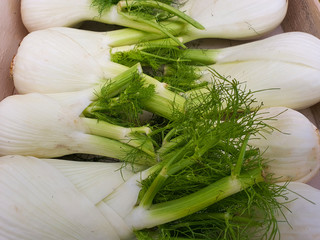 group of fennel stacked for sale